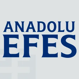 Anadolu efes